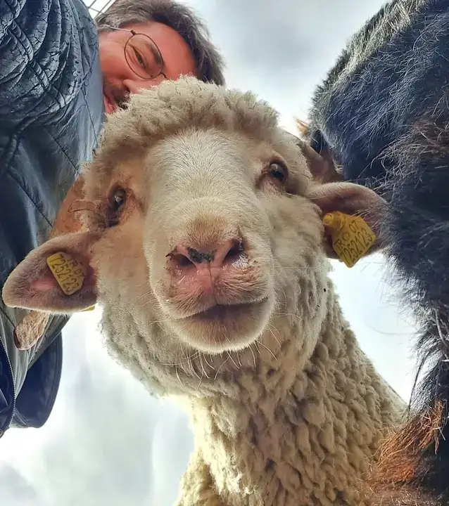 antalyada-veterinerin-selfiesine-koyun-eslik-etti-bakanlik-paylasti