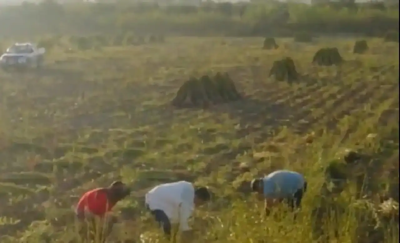 manavgat-trt-belgesel-ekranlarinda-12