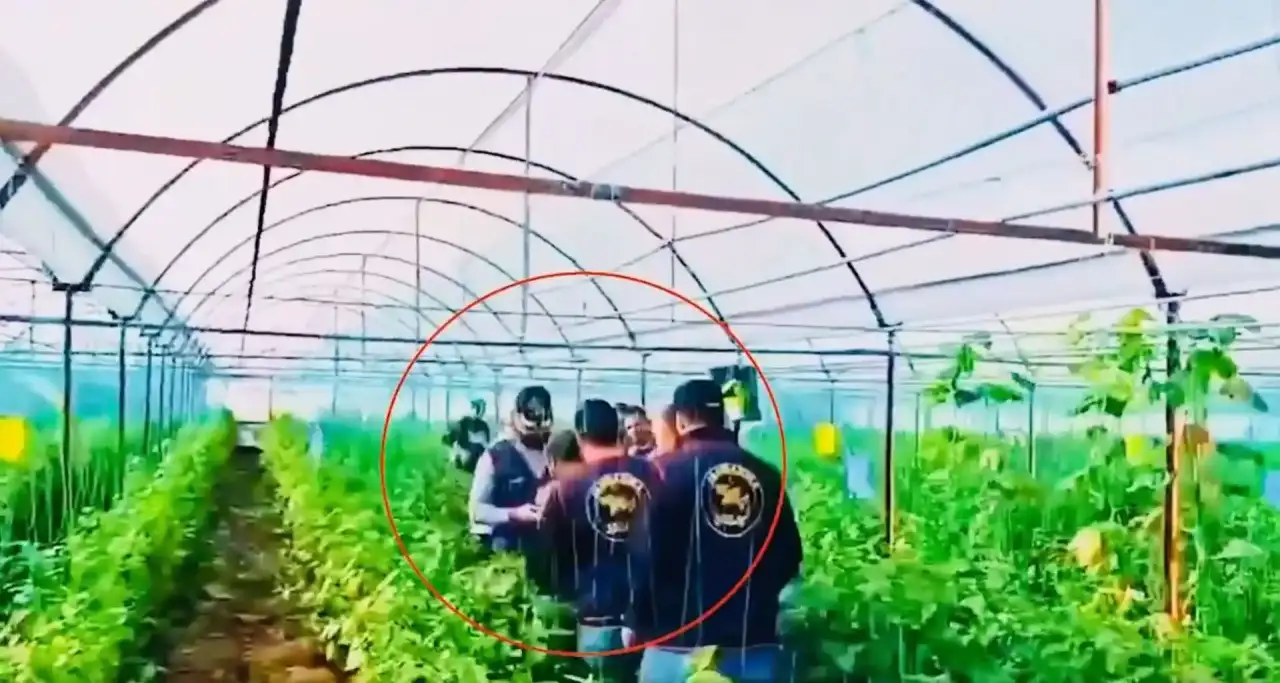 34-yil-hapisle-araniyordu-cinayet-zanlisi-antalyada-serada-calisirken-yakalandi