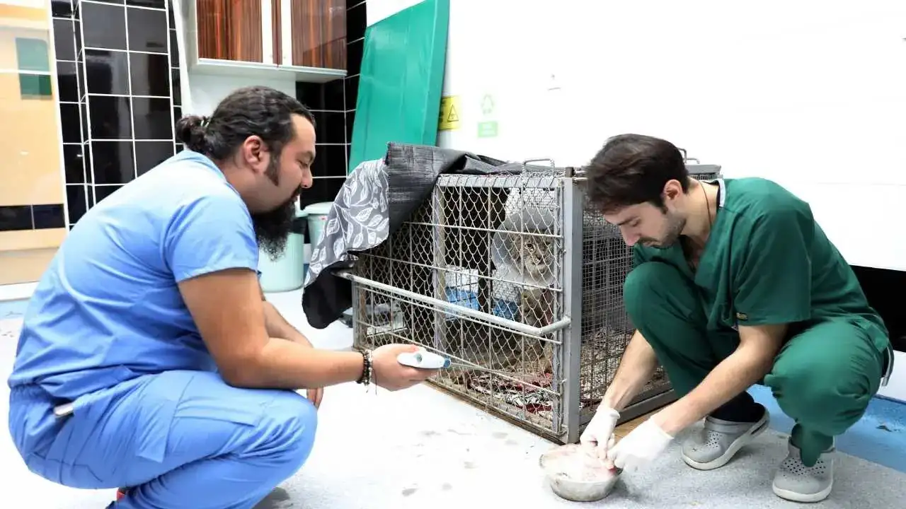 akdenizgercekterk-edilen-2