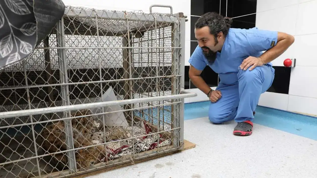 akdenizgercekterk-edilen-3