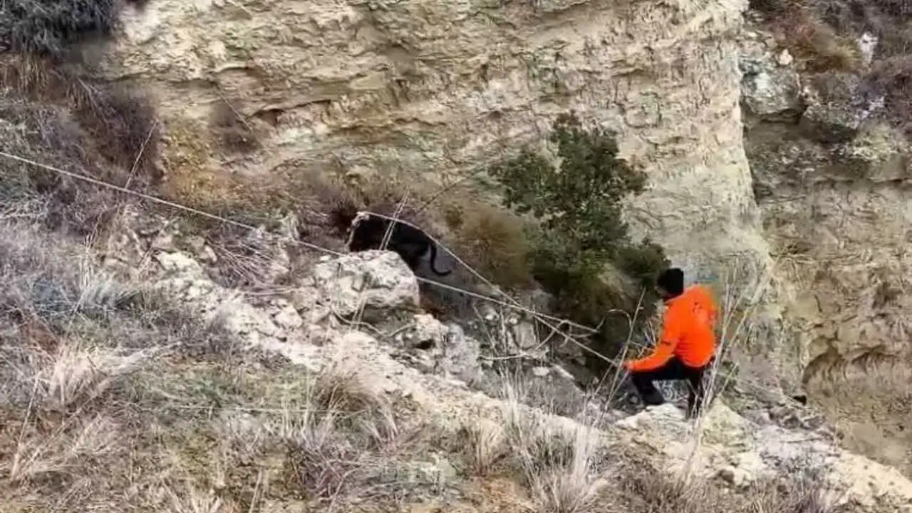 akdenizgercekavcilardan2