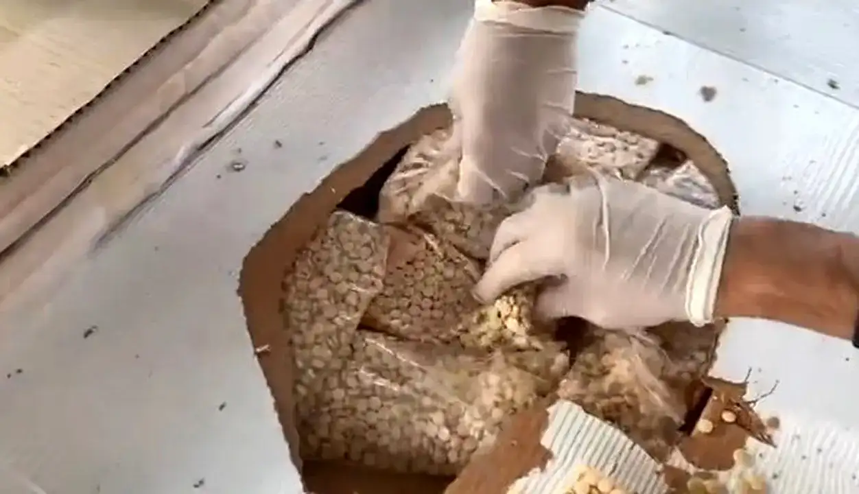 gumruklerde-rekor-41-milyar-liralik-uyusturucu-operasyonu