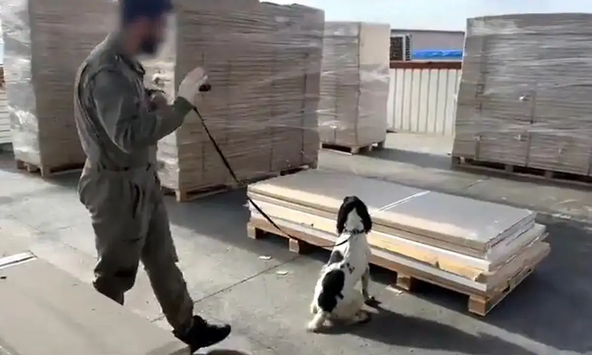 gumruklerde-rekor-41-milyar-liralik-uyusturucu-operasyonu