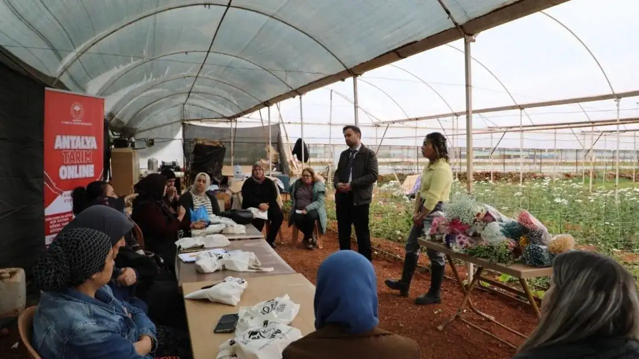 kepezde-kesme-cicek-ureticilerine-yeni-model