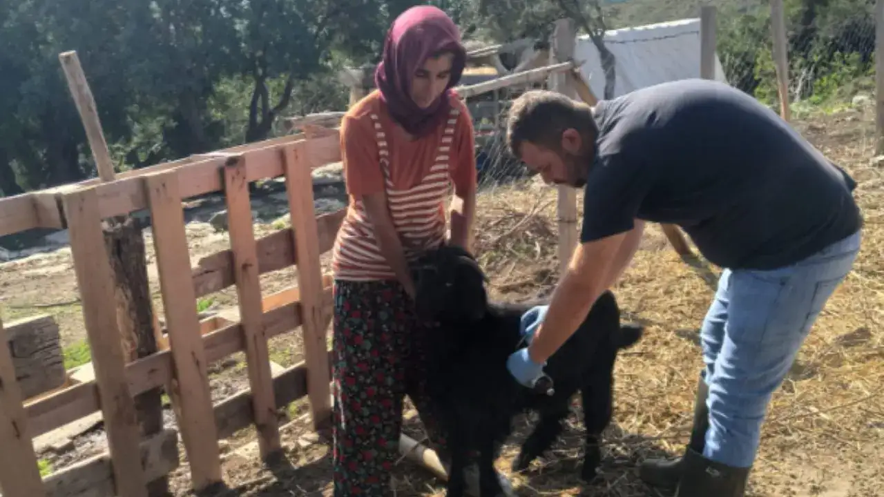 antalyada-kucukbaslara-asi-ve-kupeleme