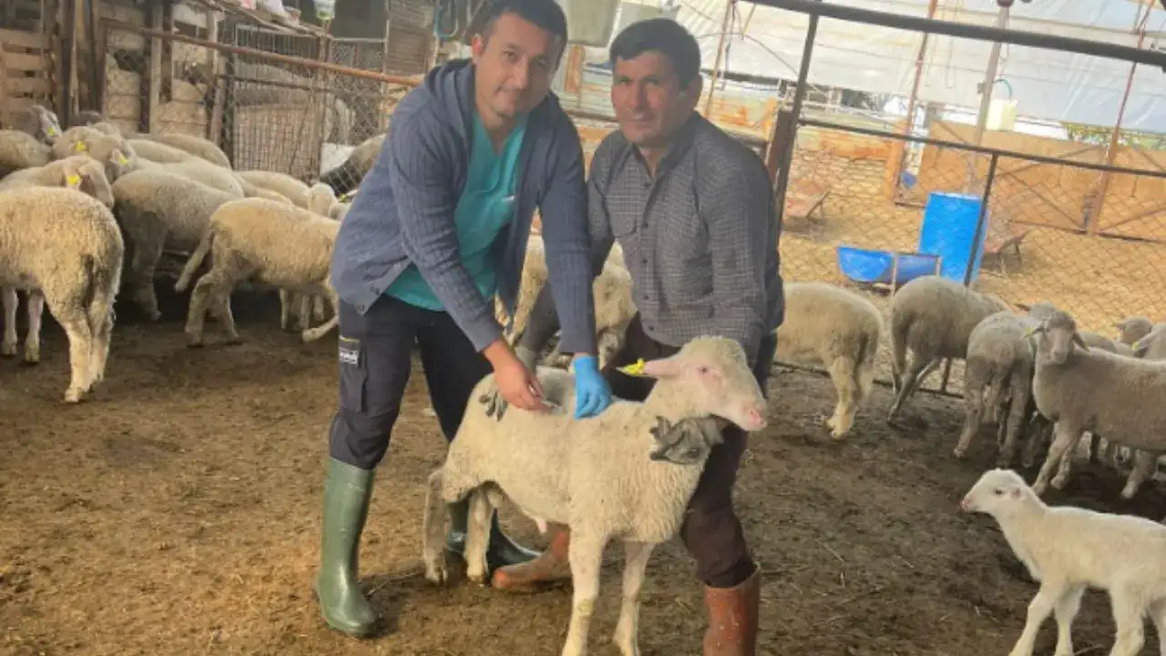 antalyada-kucukbaslara-asi-ve-kupeleme