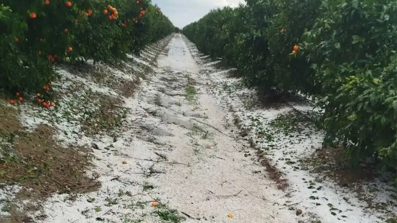 akdenizgercekdolu-yagisi-3