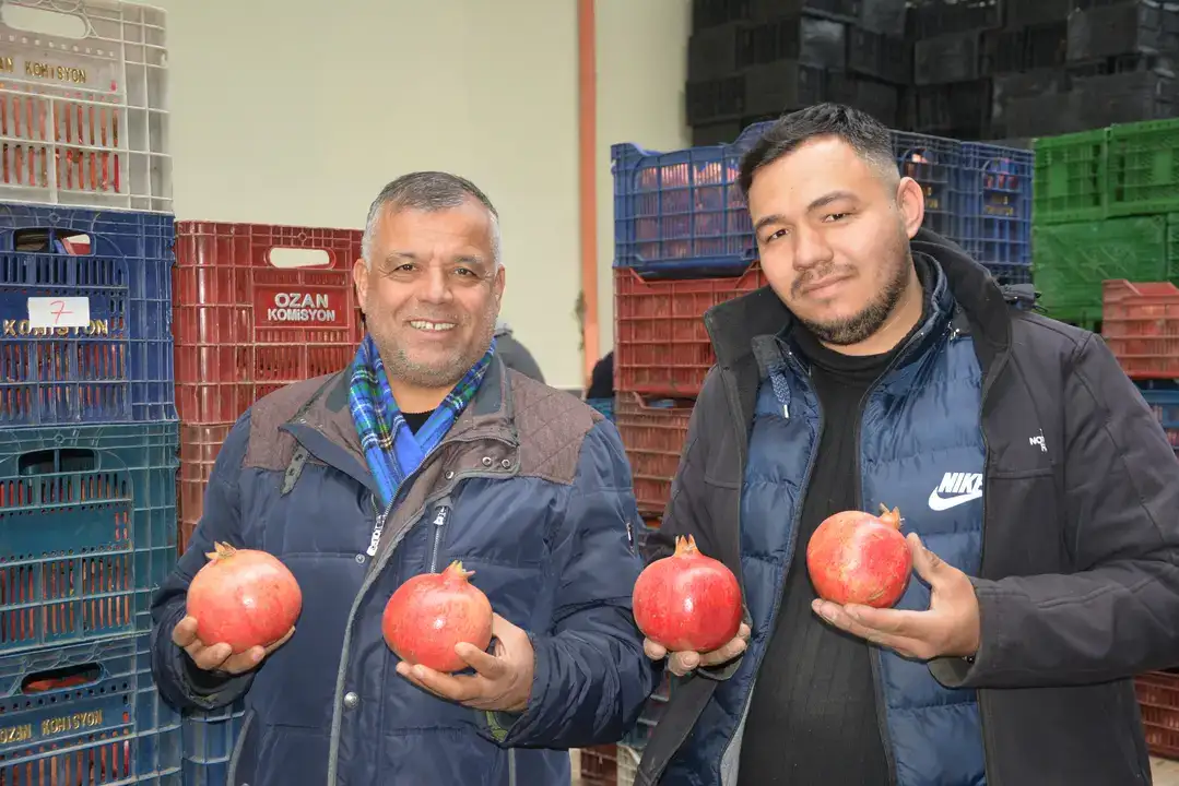 korkuteliden-nar-ihracati-basladi-rota-rusya-ve-ukrayna-aylik-350400-ton