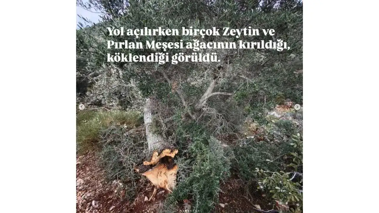 akdenizgercekderneginden-acil-3