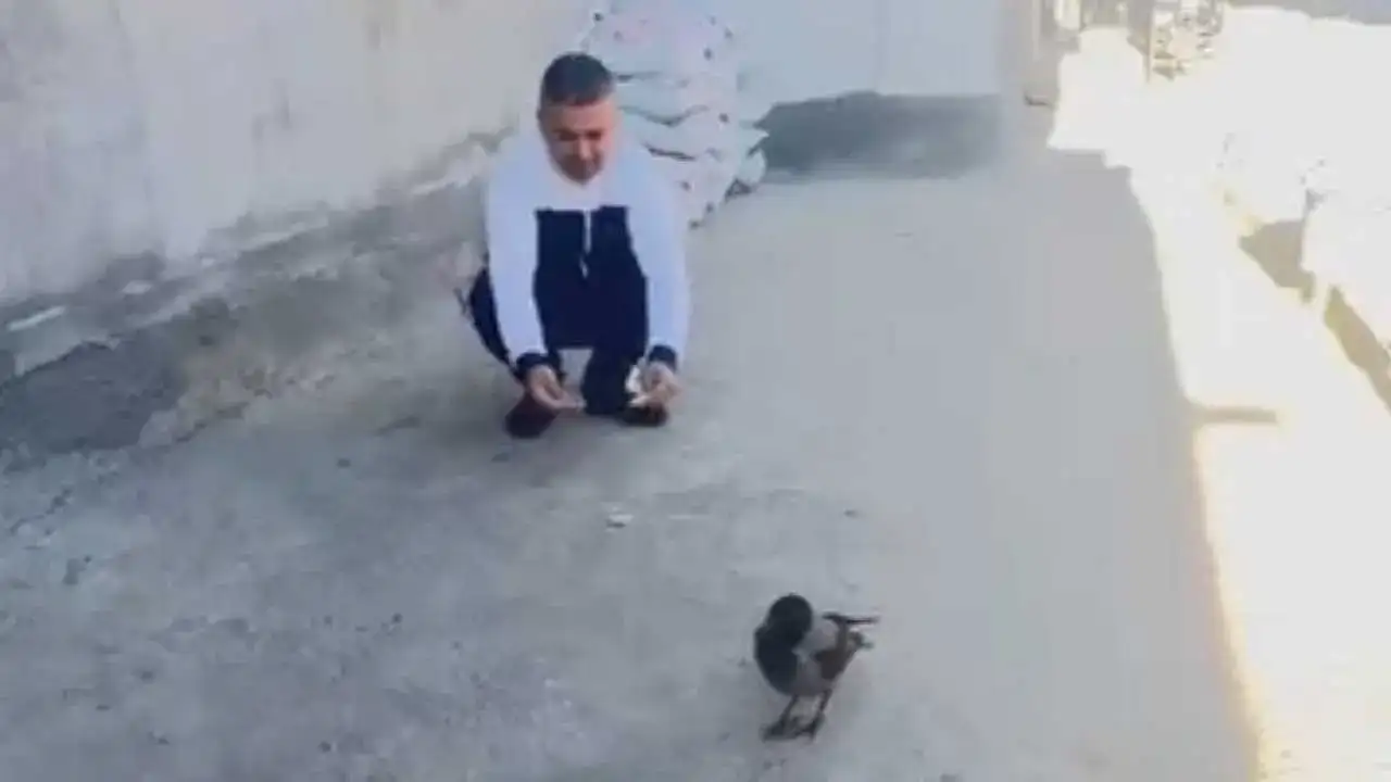 akdenizgercekkarga-mahallenin-3