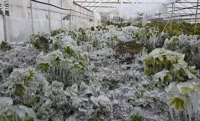 antalyada-zirai-don-alarmi-ureticiler-dikkat