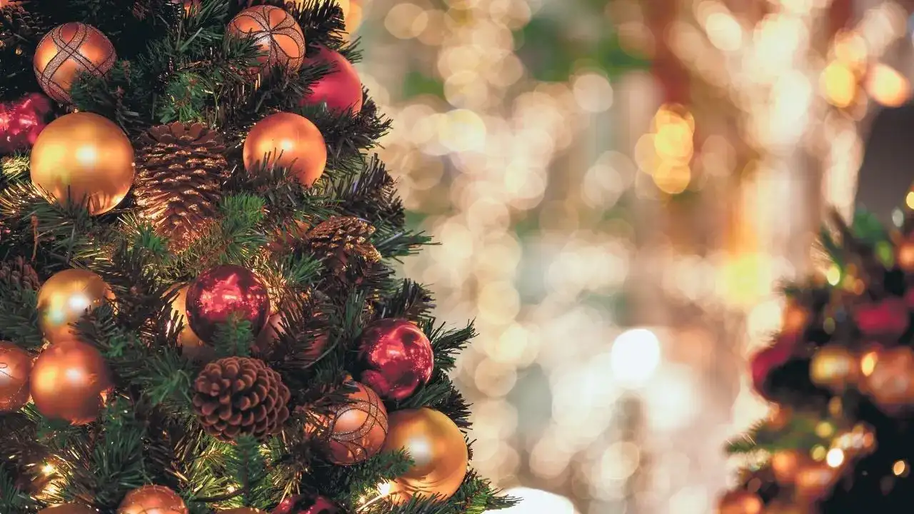 antalyada-evde-yilbasi-kutlamasi-kac-tl