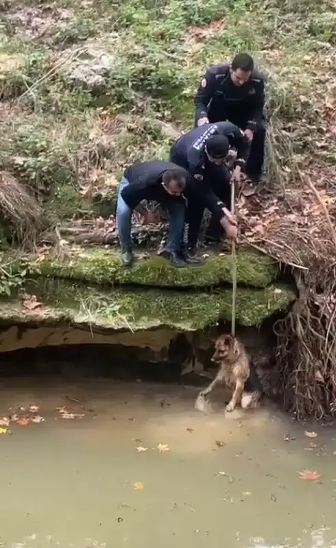 antalyada-yurek-isitan-kurtarma-dereye-dusen-kopek-hayata-tutundu