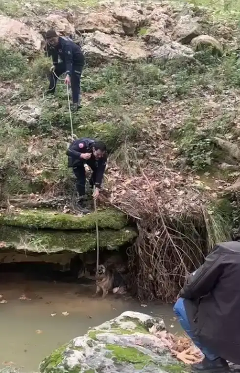 antalyada-yurek-isitan-kurtarma-dereye-dusen-kopek-hayata-tutundu