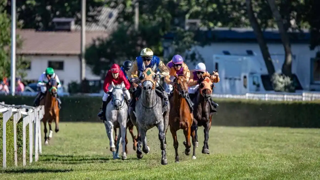 at-yarisinda-tjk-donemi-sonra-erdi-1-milyon-sermayeli-sirket-yetkiyi-aldi