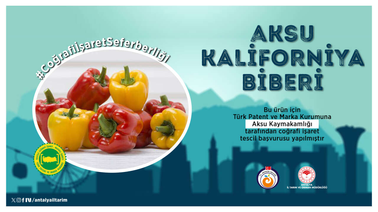 aksu-kaliforniya-biberi-cografi-kimlige-kavusuyor
