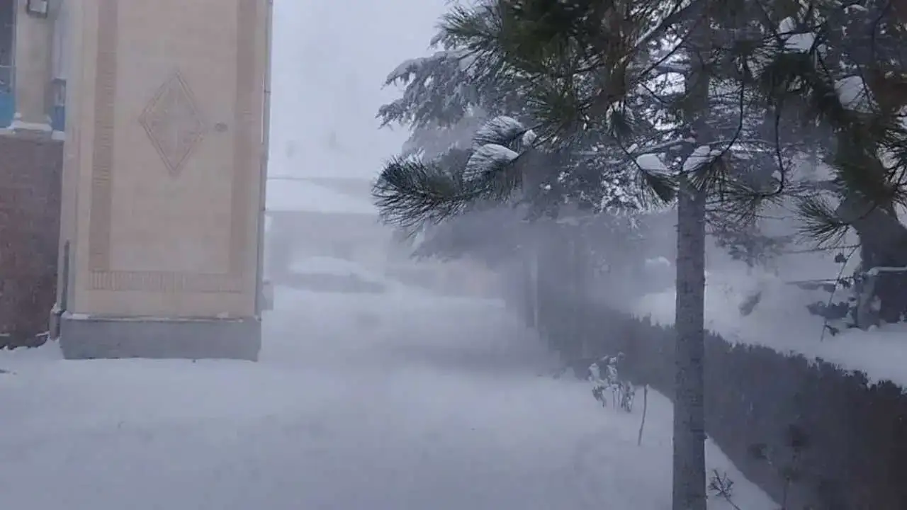 akdenizgercekderecede-cocuklar-4