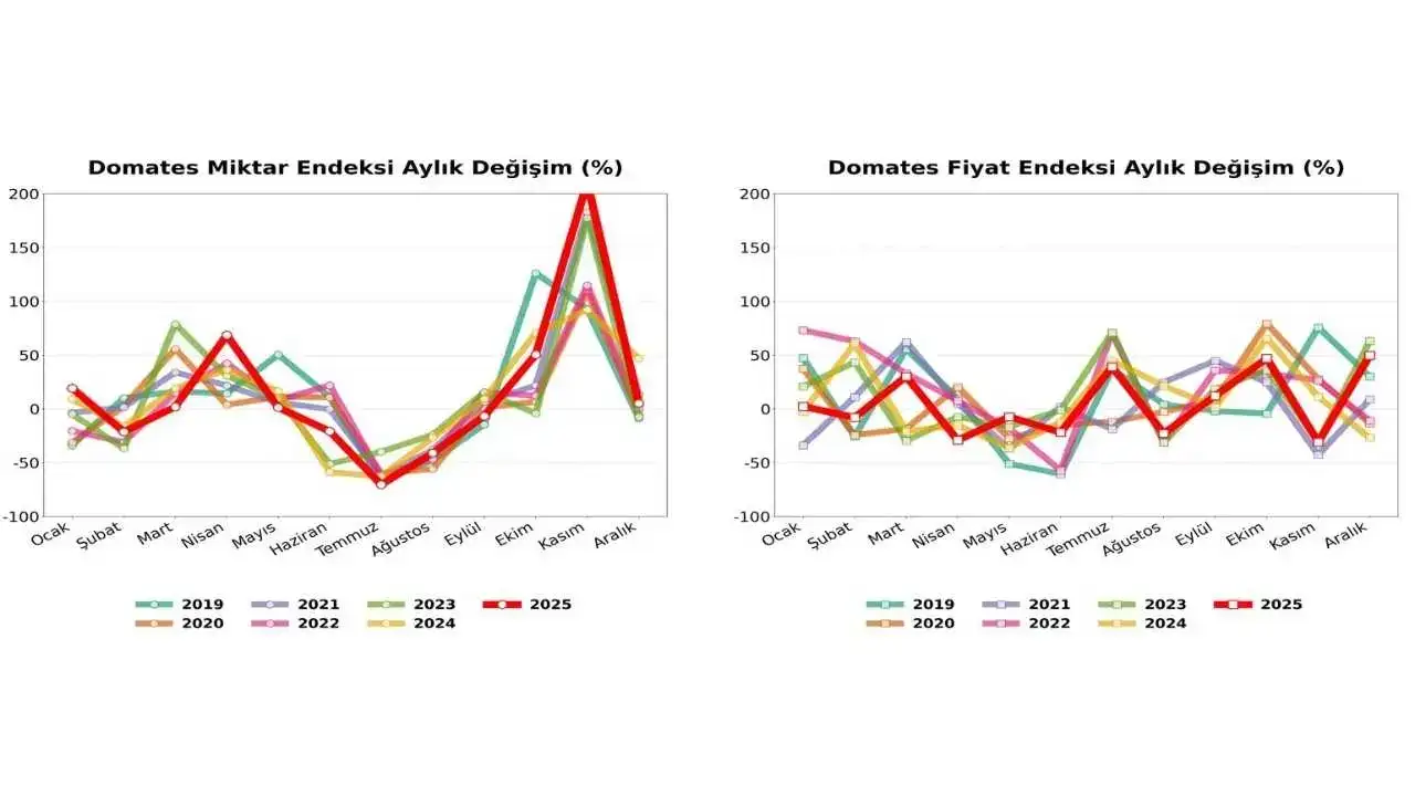 akdenizgercekdomates-zirve-4