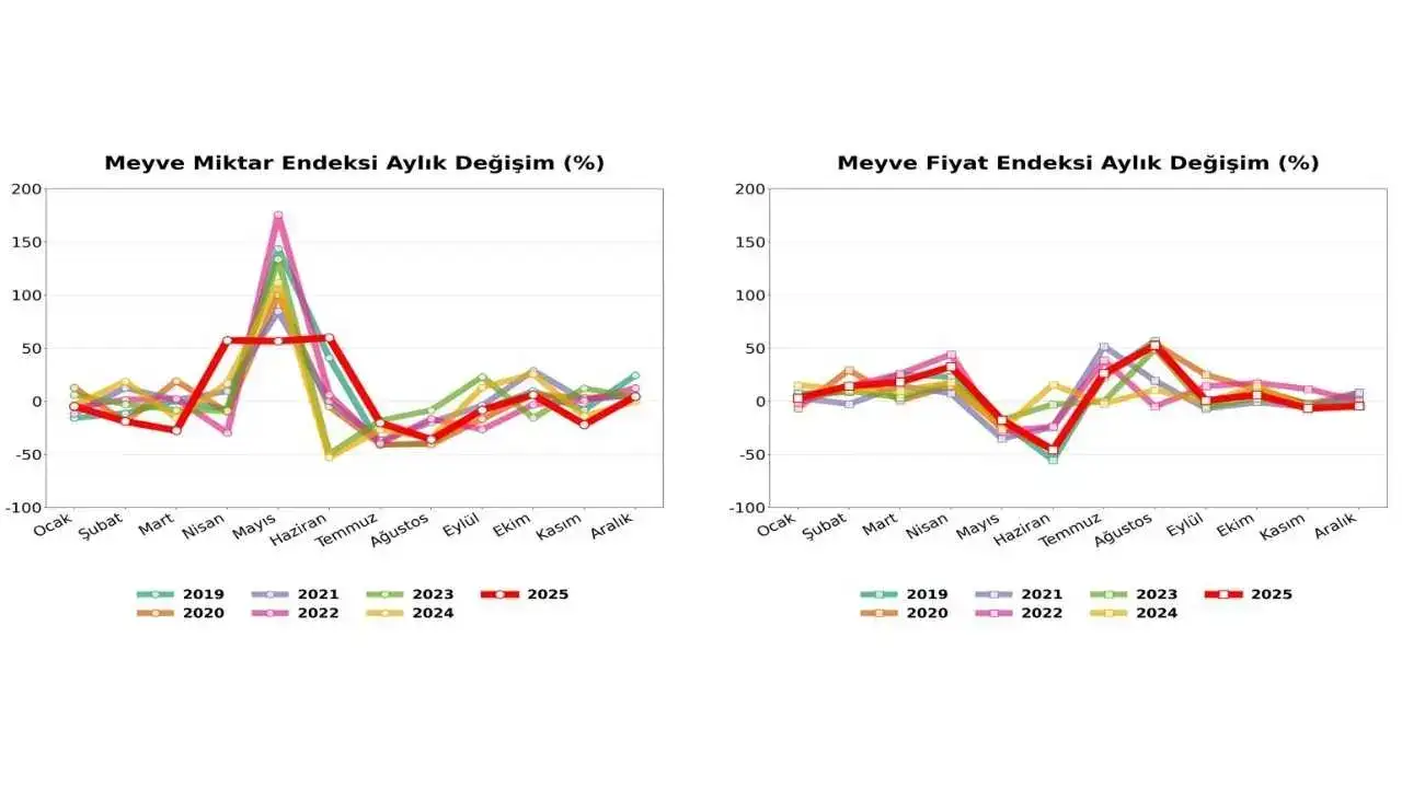 akdenizgercekdomates-zirve-5
