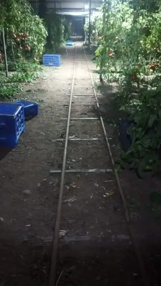 serikte-don-tehlikesine-karsi-sabaha-kadar-gitarla-nobet