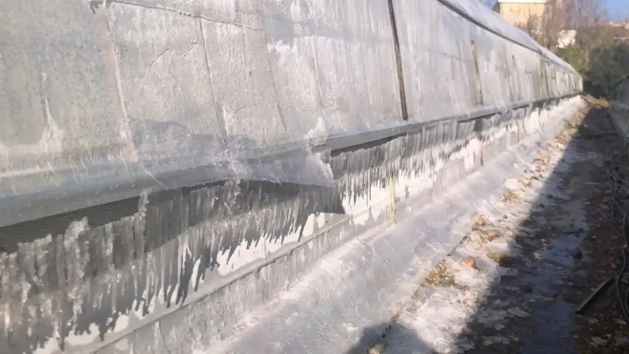 serikte-don-tehlikesine-karsi-sabaha-kadar-gitarla-nobet