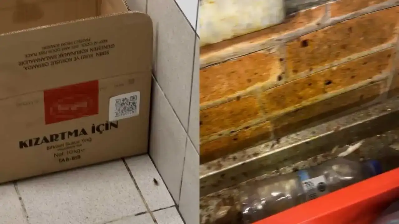 akdenizgercekyemek-katinda-3