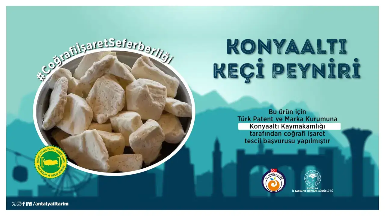 konyaalti-keci-peyniri-antalyanin-yeni-markasi-olacak