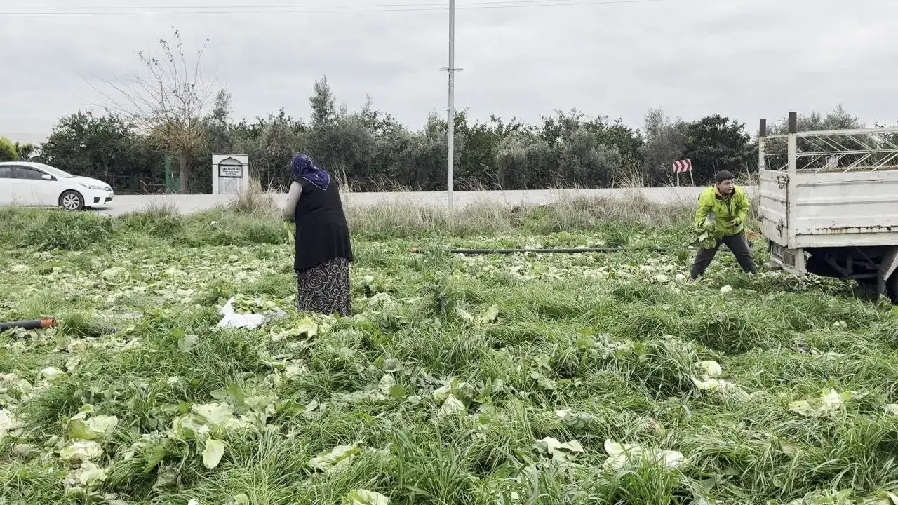 akdenizgercekmaliyeti-karsilamayan-2