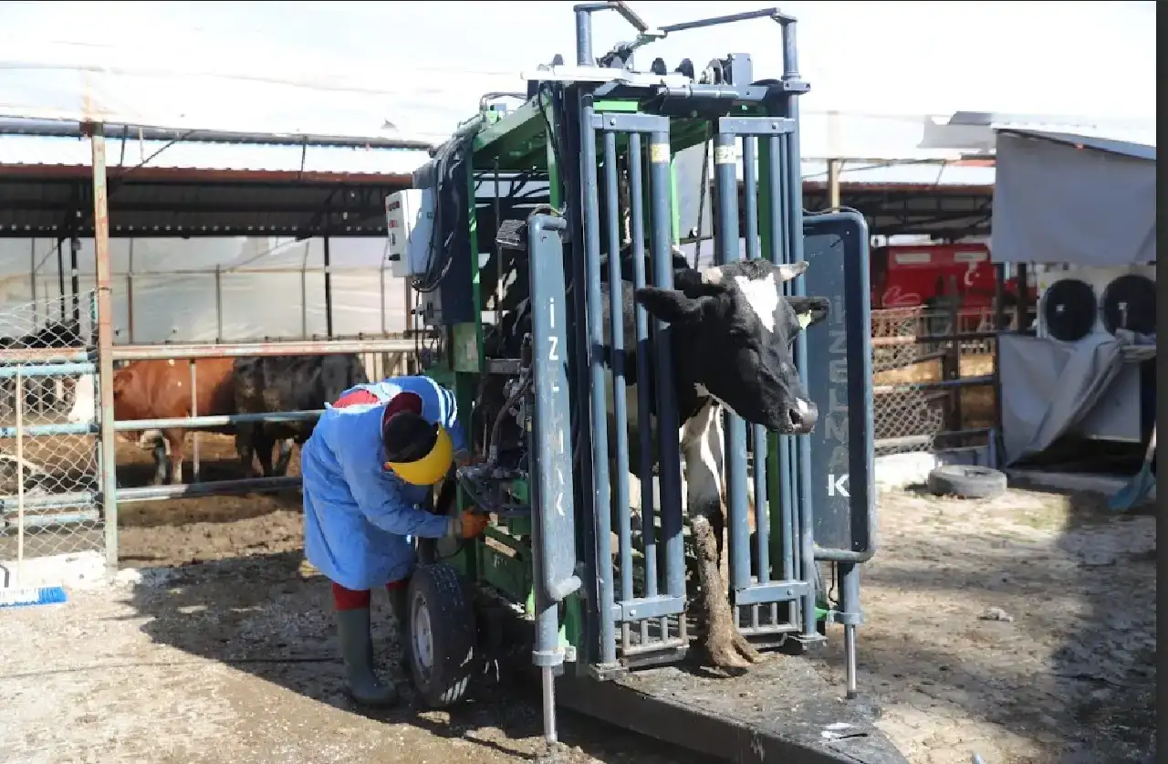 antalyada-hayvanciliga-rekor-destek-milyonlari-asti2132