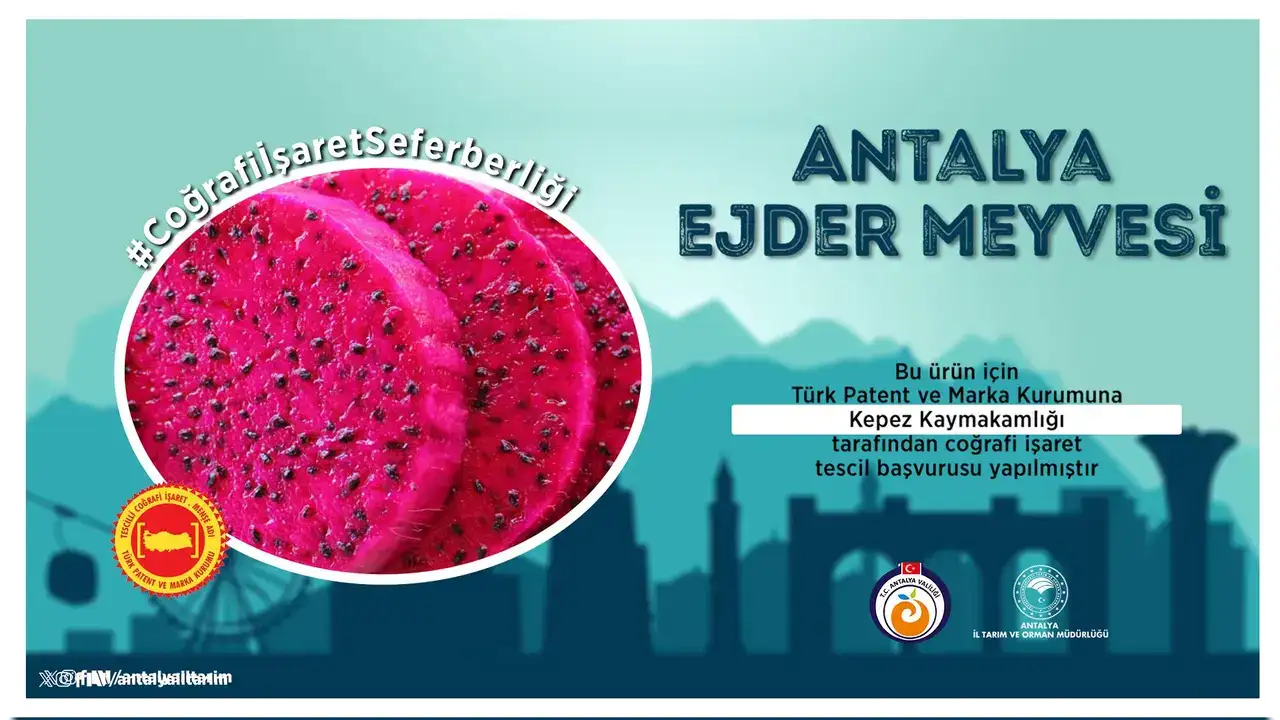 tropikal-guc-antalyada-ejder-meyvesi-icin-turk-patente-basvuru