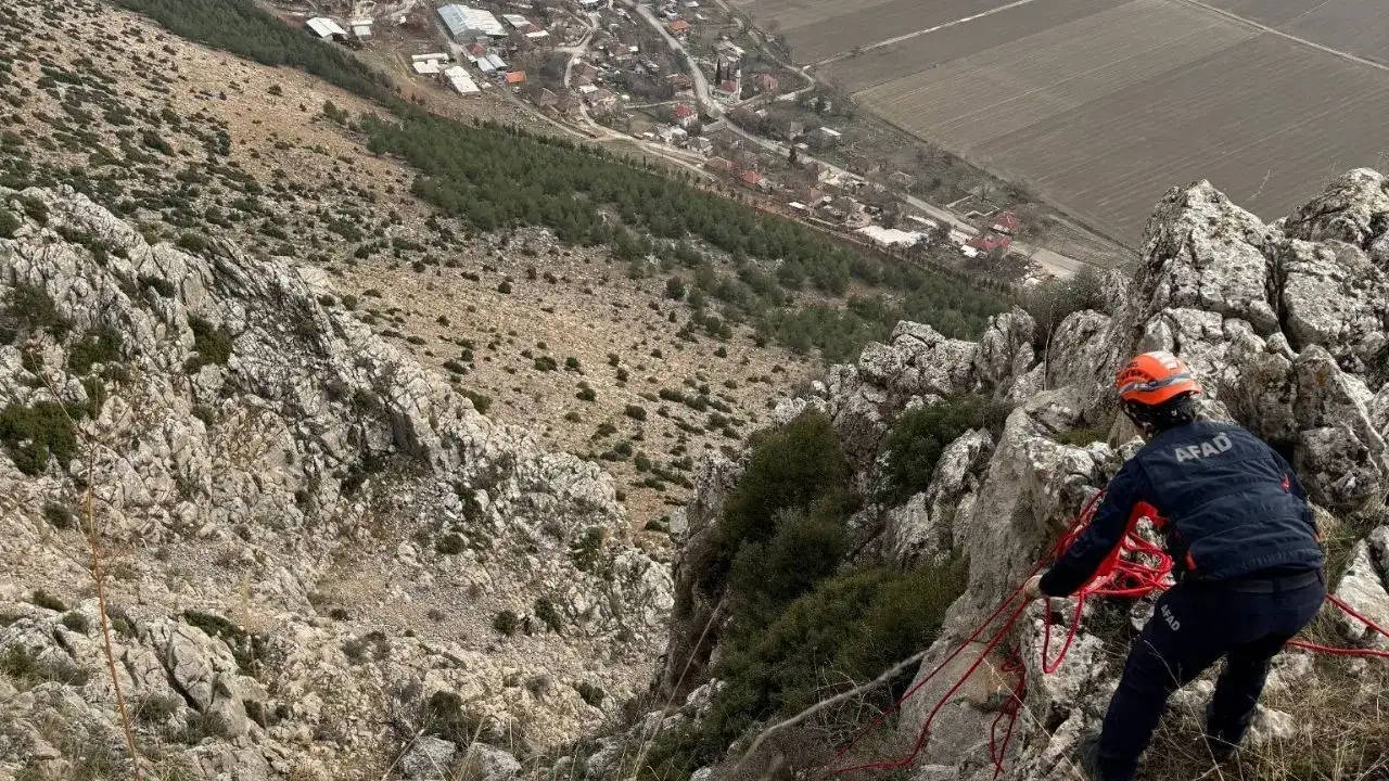 akdenizgercekgebe-keci-2