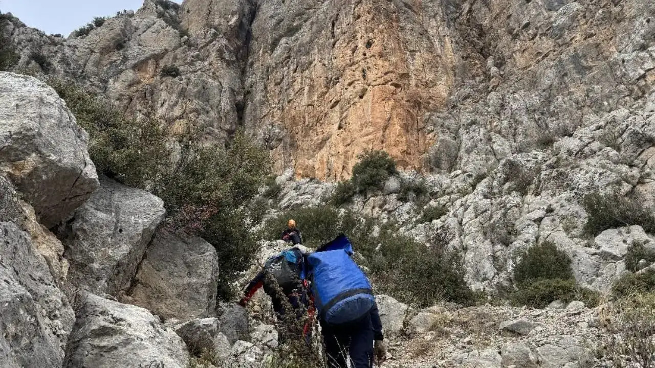 akdenizgercekgebe-keci-3