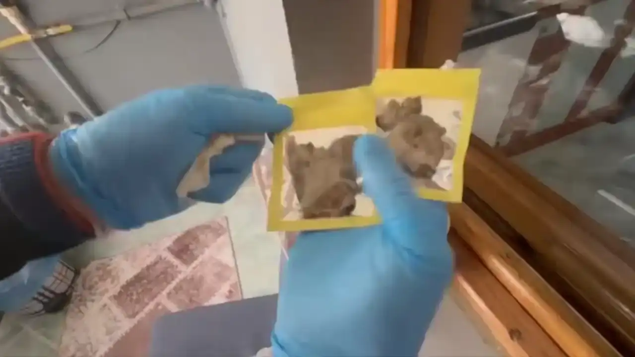 antalya-dahil-63-ilde-dev-operasyon-1-tonu-asan-uyusturucu-ele-gecirildi