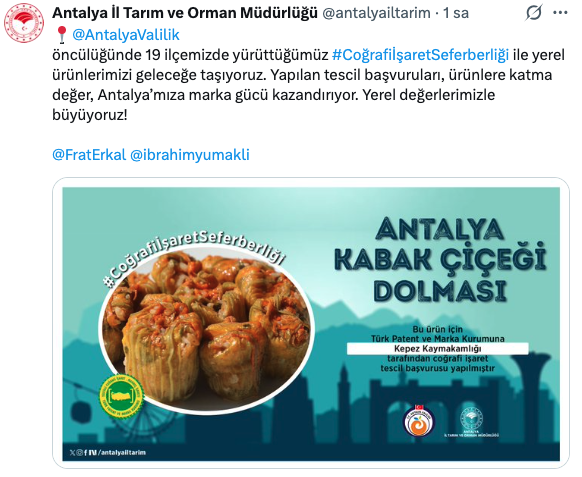 antalya-kabak-cicegi-dolmasi-icin-cografi-isaret-basvurusu