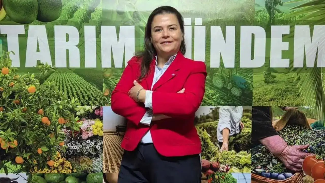 akdenizgerceksahadaki-gercekler-2