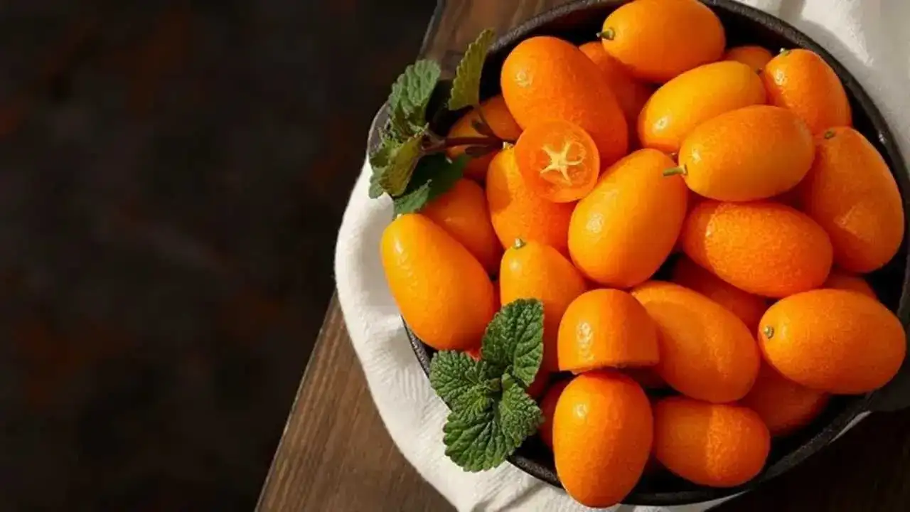 akdenizgerceksofralarina-hazirlaniyor2