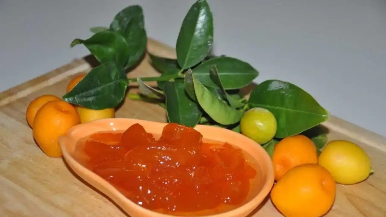 akdenizgerceksofralarina-hazirlaniyor3