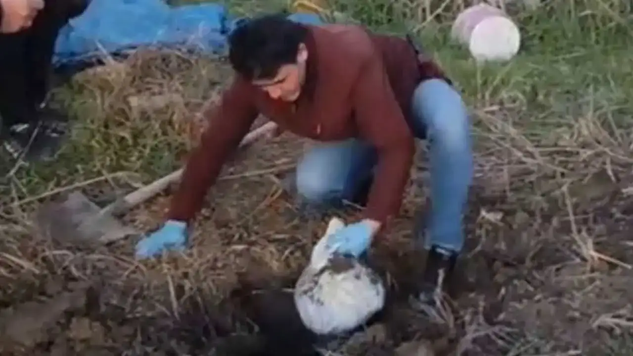 akdenizgerceksoygununun-ayrintilari-2