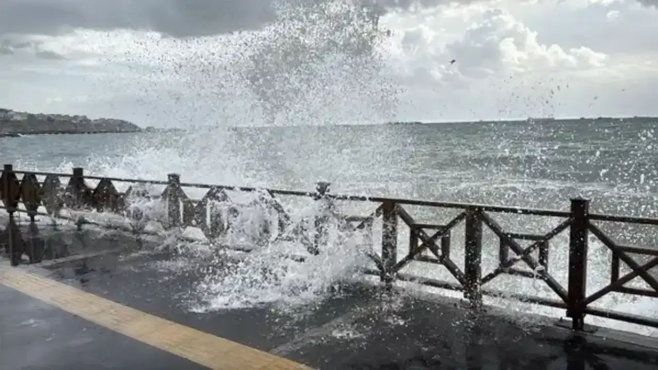 firtina-istanbulu-vurdu-agaclar-devrildi-catilar-uctu-trafik-kilitlendi