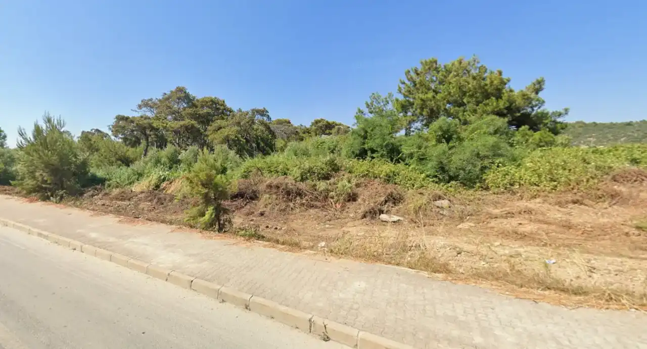 manavgatta-ormanlik-alan-icin-acele-kamulastirma-karari-otel-mi-yapilacak