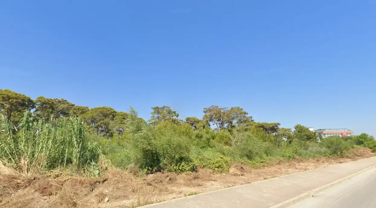 manavgatta-ormanlik-alan-icin-acele-kamulastirma-karari-otel-mi-yapilacak