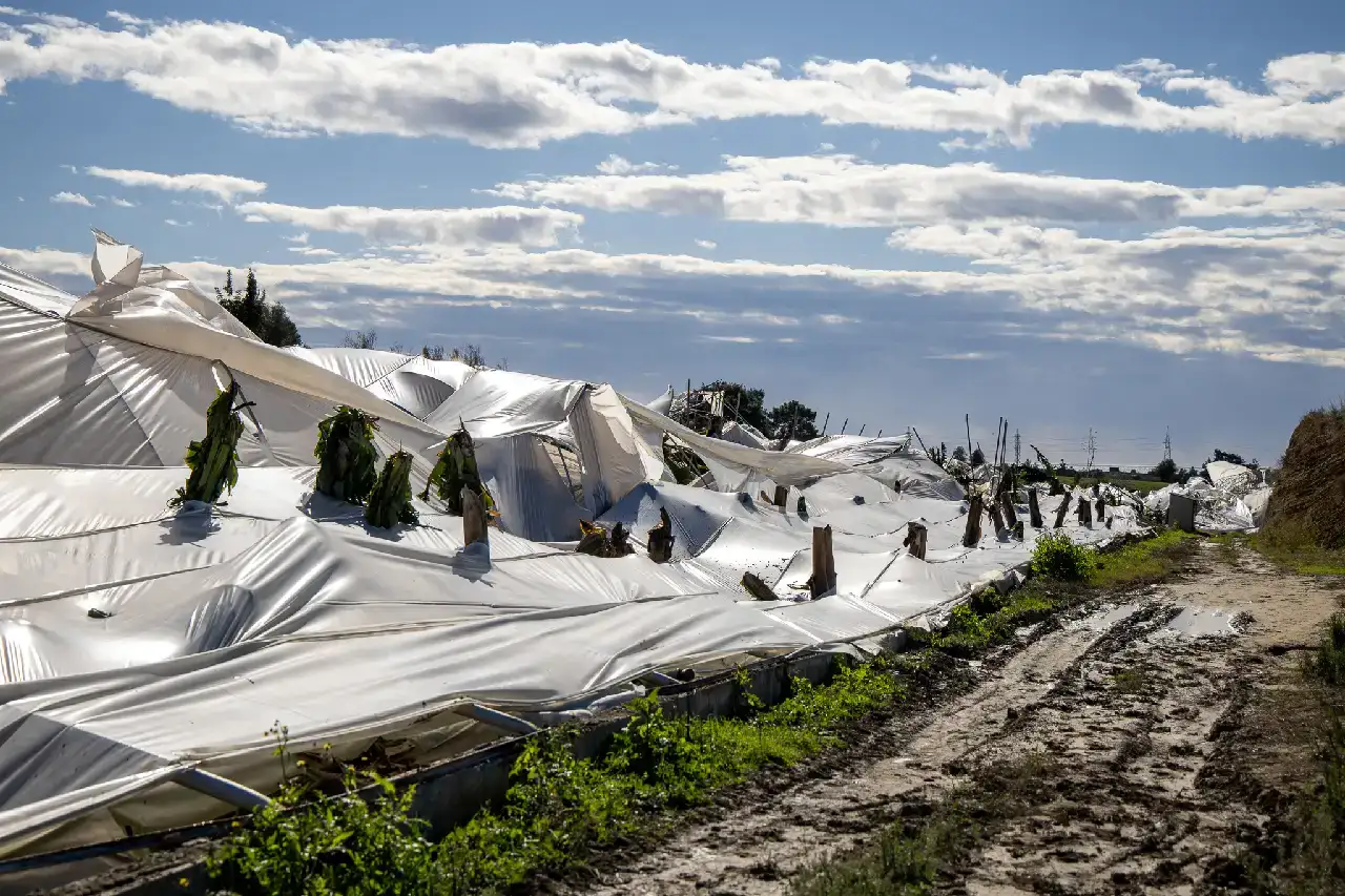 manavgatta-hortum-felaketi-inceleme-yapildi-tablo-can-sikti55767