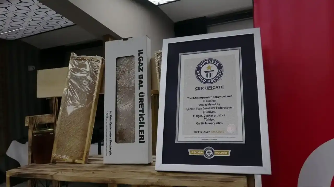 ilgaz-bali-rekor-kirdi-dunyanin-en-pahali-bali-oldu