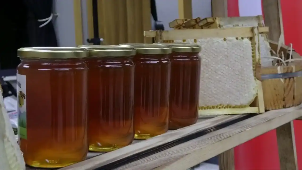 ilgaz-bali-rekor-kirdi-dunyanin-en-pahali-bali-oldu