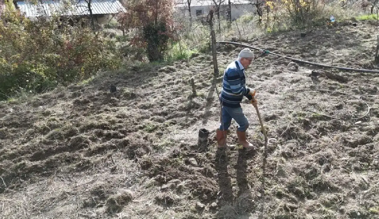 alanyadan-turkiyeye-buyuk-ornek-ciftcilik-yeniden-hayat-buluyor