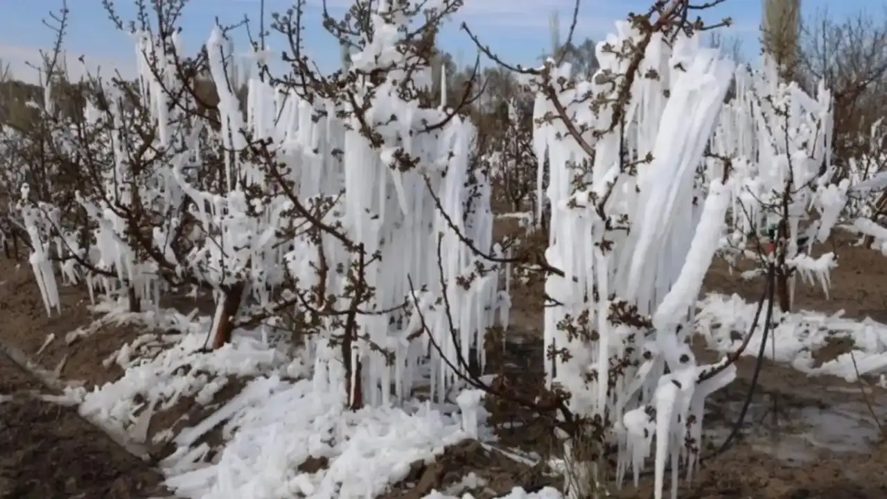 antalyali-ureticiler-icin-korkutan-gece-uyarisi