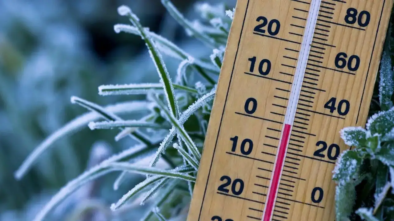 antalyada-14-16-ocakta-don-riski-var-ureticilerin-nobeti-baslayacak