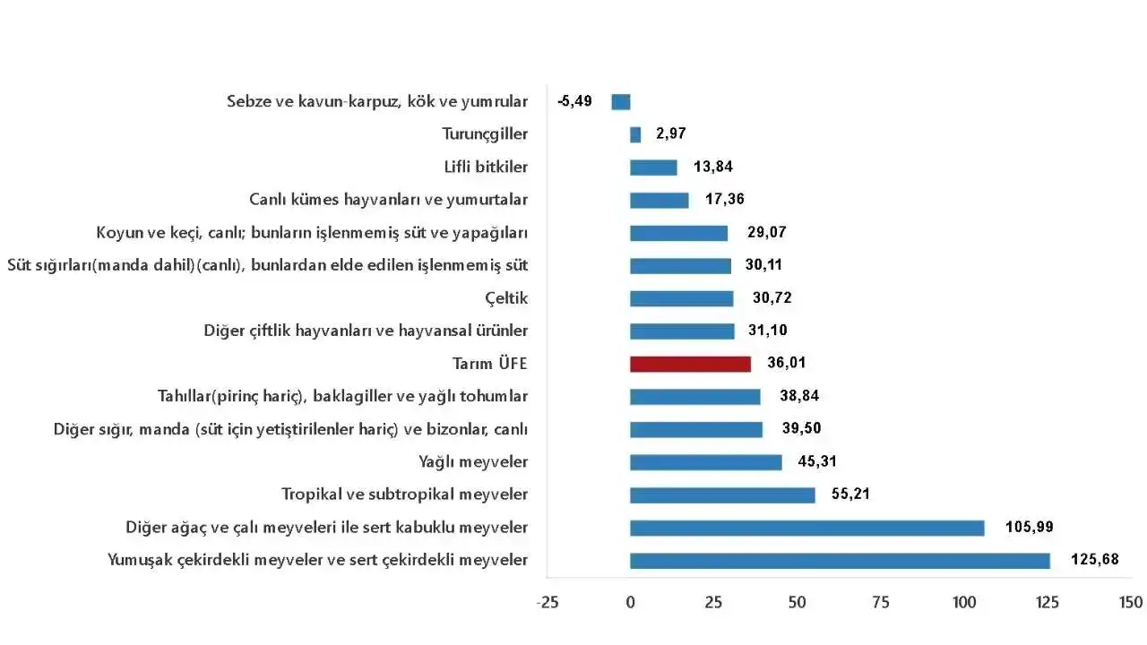 akdenizgercekenflasyonu-tuketiciyi-2