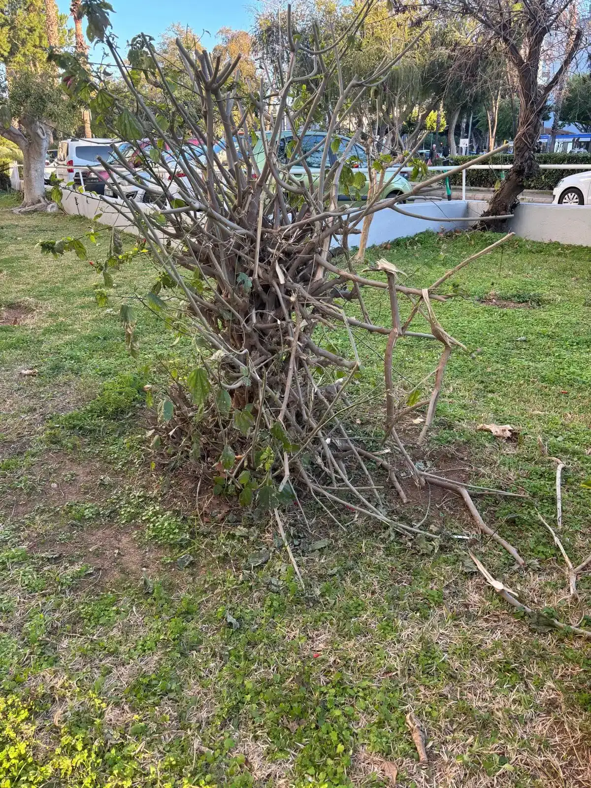 antalyanin-taninmis-tarihcisi-giray-ercenk-yogun-bakimda